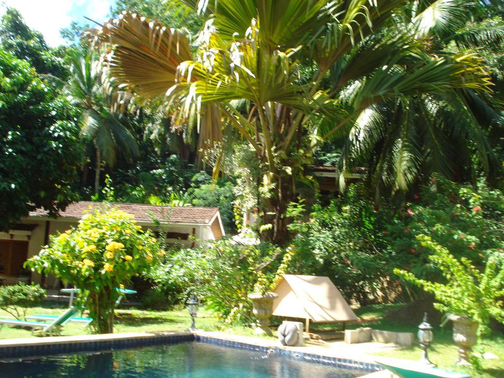 Cote Sud - Unique Villa & Bungalows Intendance Road Takamaka Pokój zdjęcie