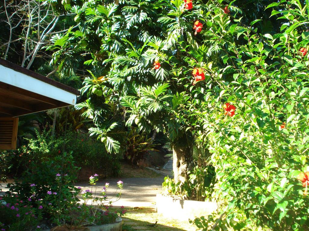 Cote Sud - Unique Villa & Bungalows Intendance Road Takamaka Pokój zdjęcie